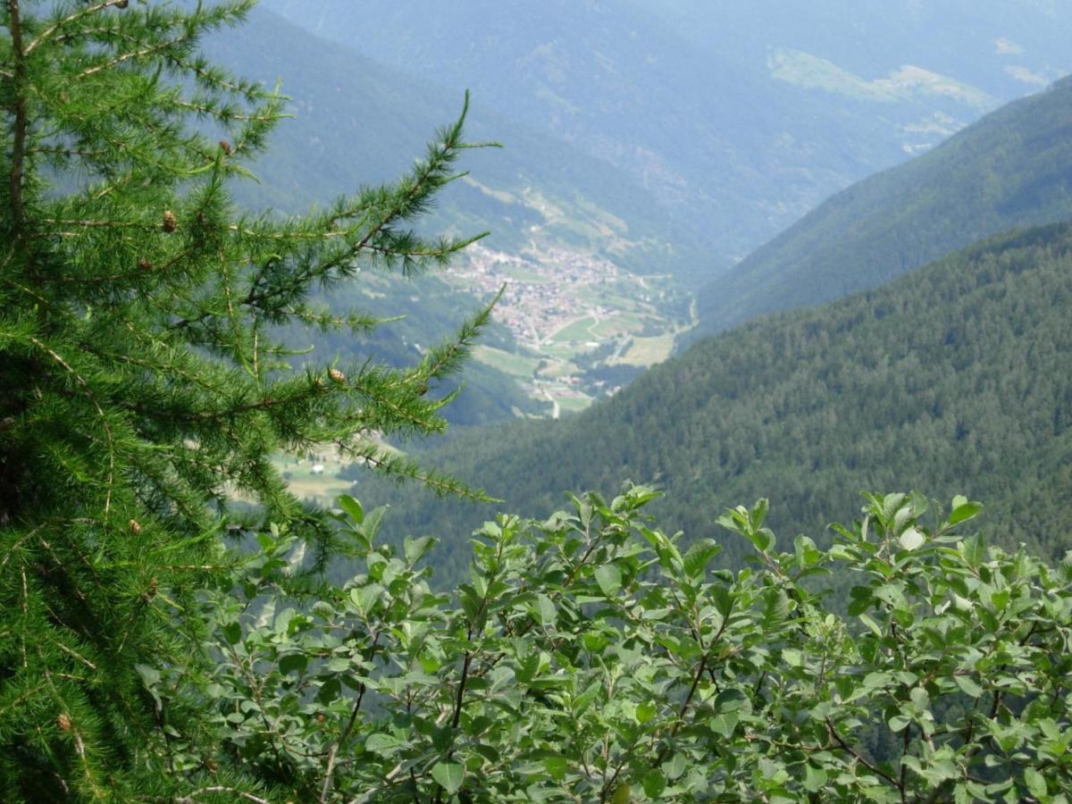 Hotel Stella Passo del Tonale Dış mekan fotoğraf